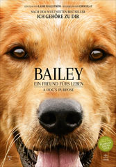 Bailey - Ein Freund fürs Leben