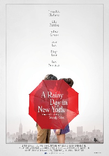 A Rainy Day in New York