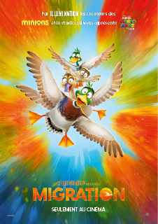 Migration (3D)